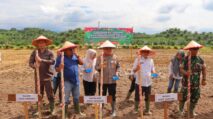 Kapolres Aceh Tamiang bersama Forkopimda dan masyarakat menanam jagung serentak di lahan perhutanan sosial Desa Rimba Sawang