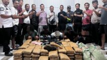 Polisi Gayo Lues memperlihatkan barang bukti 183 kilogram ganja hasil penangkapan lima tersangka.