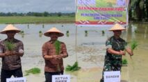 Ketua DPRK Aceh Tamiang, Fadlon, SH, ikut turun ke sawah menanam padi bersama masyarakat di Kampung Marlempang, Kecamatan Bendahara, dalam rangka Gerakan Tanam Padi Pengendalian Inflasi Daerah 2025.